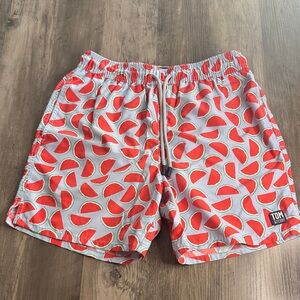 Tom & Teddy Red Watermelon Slice Swim Trunks on Light Blue